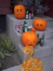 pumpkin-drinkin.jpg